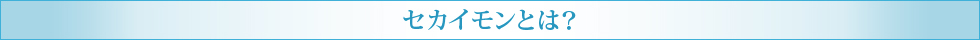 セカイモンとは